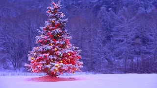Merry Christmas Tree HD Wallpaper Download