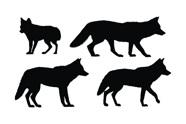 Coyote standing silhouette set vector free download