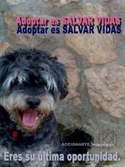 Adoptar es SALVAR VIDAS.