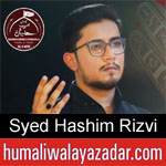https://humaliwalaazadar.blogspot.com/2019/09/syed-hashim-rizvi-nohay-2020.html