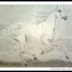 Horse (Pencil Sketch)