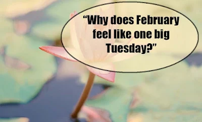 February quotes - quotes about february - quotes for february