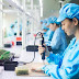 Coronavirus Could Be The End Of China As Global Manufacturing Hub