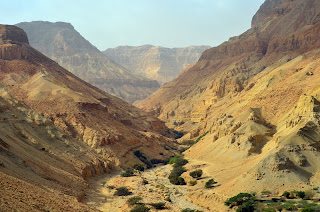 where david hid from saul in desert en gedi wadi oasis israel