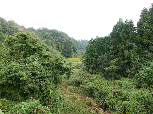 小林橋からの眺め