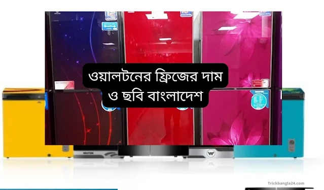 ওয়ালটন ফ্রিজ প্রাইস ইন বাংলাদেশ