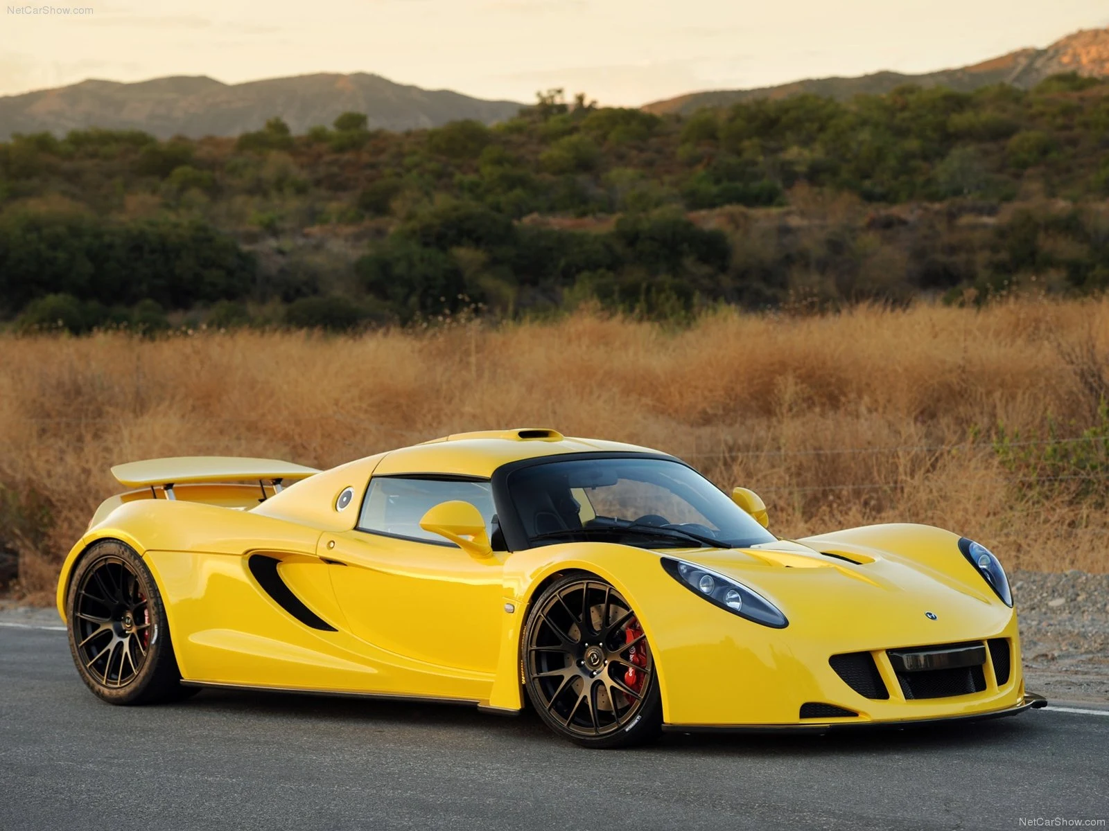 Hình ảnh siêu xe Hennessey Venom GT 2011 & nội ngoại thất