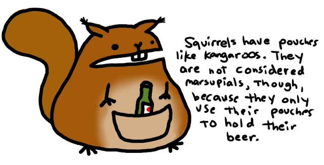 squirrel with beer in its pouch(marsupium)