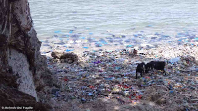 sampah pulau gili ketapang