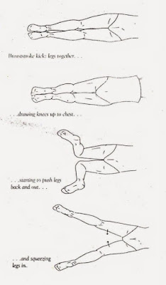 gerakan kaki renang gaya dada