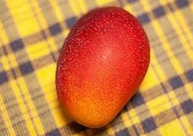 Famous Varieties of Indian Mangoes,