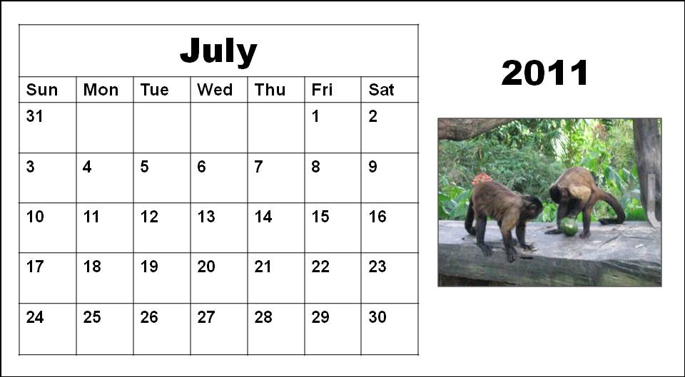 july 2011 blank calendar. July+2011+calendar+picture