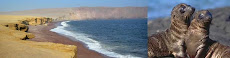 Galapagos Island Reserve