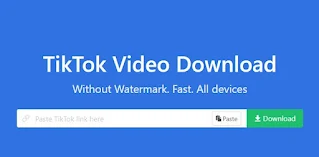 How to Download TikTok Videos Without Watermark 2022