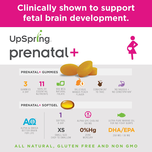 UpSpring Prenatal Supports Fetal Brain Development! #UpSpringBaby