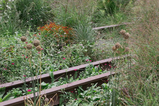 the high line, nyc 