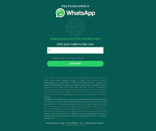  Get the Best WhatsApp Content!