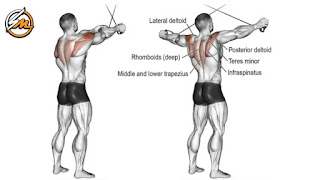 The 6 Best Rear Delt Exercises for Roundness and Definition