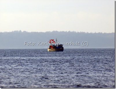 Fiskebåtpåsundetförbfärgautonivå