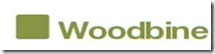woodbine