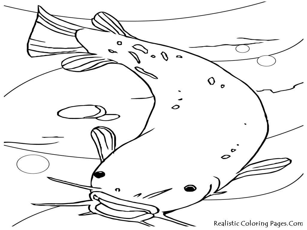 Fish Realistic Coloring Pages | Realistic Coloring Pages