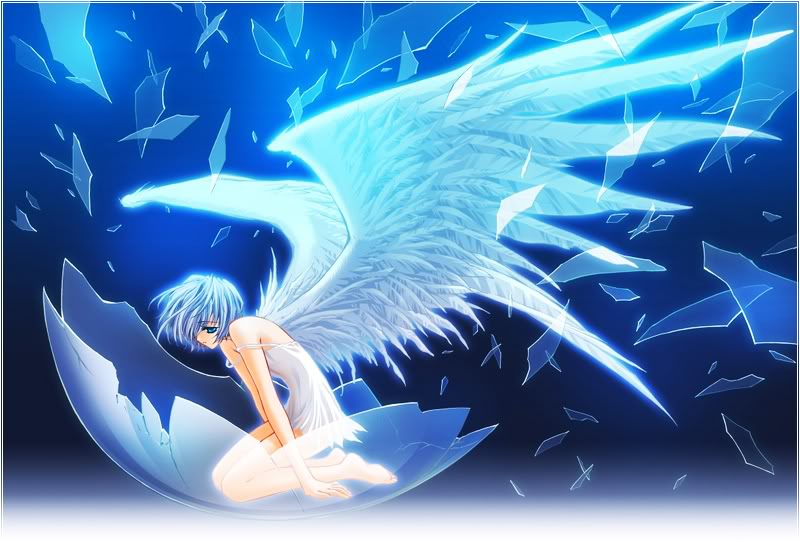 anime boy angel. anime girls 4