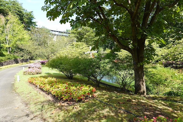 鳥取県西伯郡南部町鶴田　とっとり花回廊　花の谷