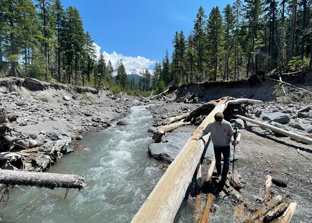 Andy wading through a river on the boys hike. There are pine trees on the left and right of the river and there are trees down all in the river. The sky is blue and there are puffy clouds in the distance.