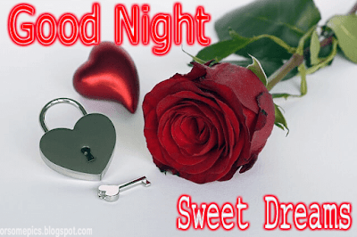 Good Night Rose Images Pictures