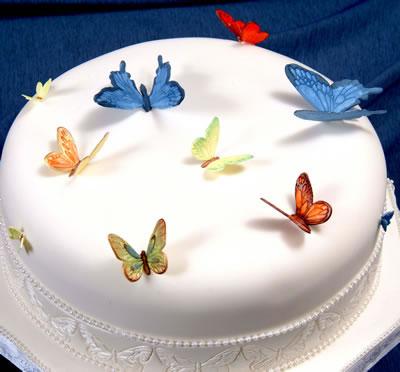 White single tier cake with colorful butterflies on top by Baker's Man