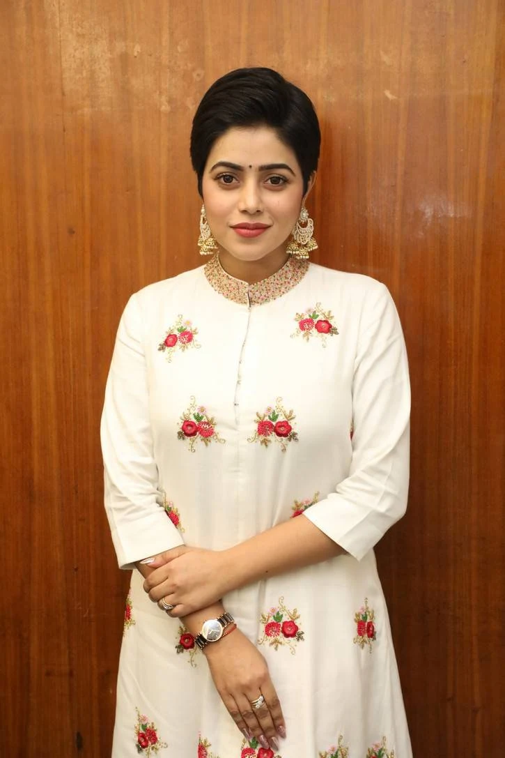 Telugu Actress Poorna In White Dress At Savarakathi Press Meet