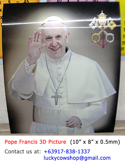 Pope Francis 3D Picture