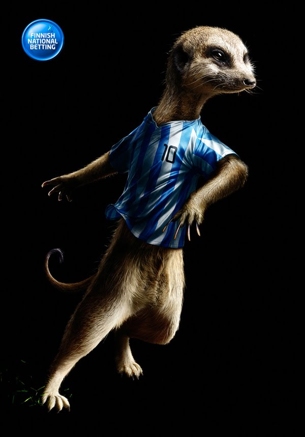 Veikkaus Football Betting: Meercat