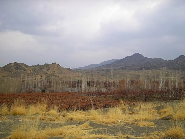Chiltan Hazarganji National Park  Quetta