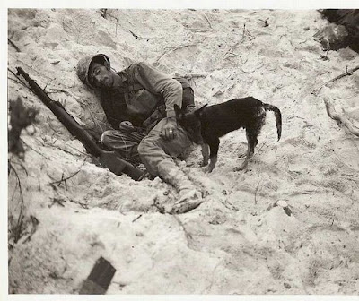 Soldiers with Pets Seen On www.coolpicturegallery.us