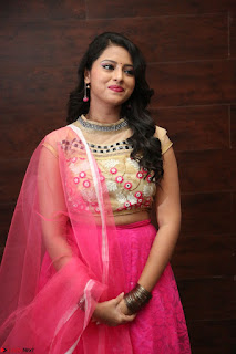 Geethanjali sizzles in Pink at Mixture Potlam Movie Audio Launch 034.JPG