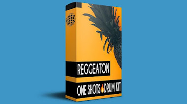 FREE REGGAETON DRUM KIT + One Shots / Libreria de reggaeton | vol:1