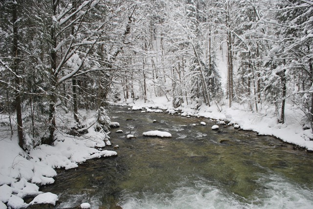 d 31 grundlsee (9)