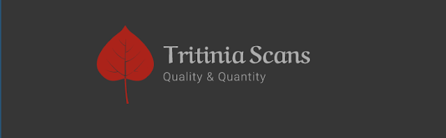 Logo Tritinia Scans