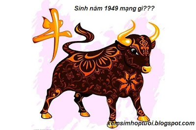 19949 mạng gì