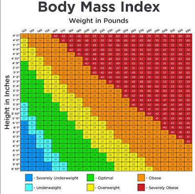bmi calculator- body mass index calculator
