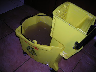 mop bucket