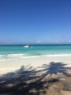 The Very Best and Worst time to Visit Zanzibar - When to Go and What to See