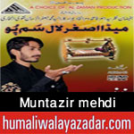 http://www.humaliwalayazadar.com/2015/10/muntazir-mehdi-nohay-2016.html