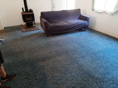 Living Room Carpet