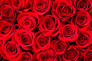 http://valentinesday.wishyouthesame.com/valentines-day-poems.html