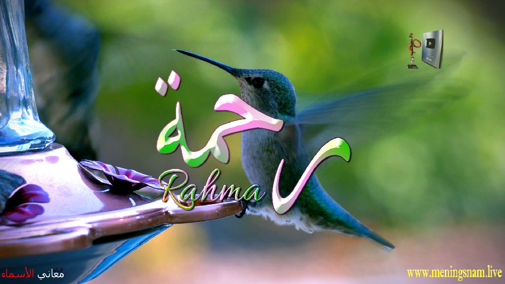 معنى اسم, رحمة, وصفات, حاملة, هذا الاسم, Rahma,