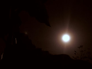 full moon in cdo, coy photography