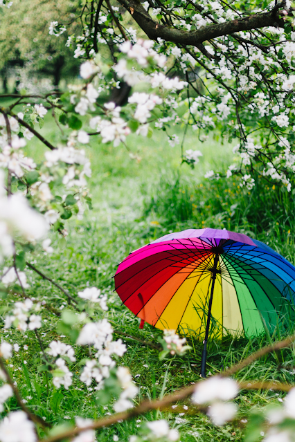 Tree in full flower with a colorful umbrella sitting on the ground under it.