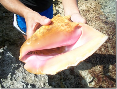 R & R Bahamas 296